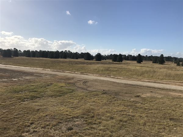 Penrith Lakes - Area 1 (8/06/2018 - Credits: Phillip Roope)