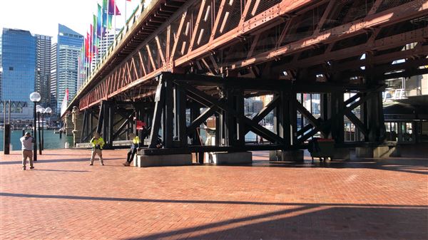 Darling Harbour (15/08/2018 - Credits: Shannon Wheeler)