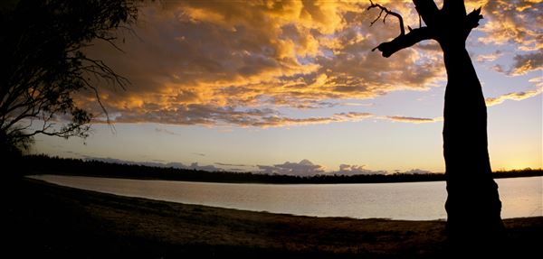 Narrabri Shire (21/09/2017 - Credits: Michael Dahlem)