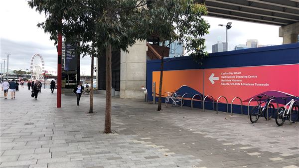 Darling Harbour (26/10/2018 - Credits: Shannon Wheeler)
