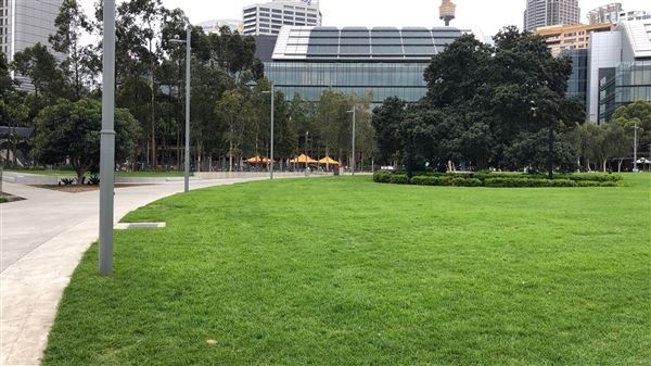 Darling Harbour (26/10/2018 - Credits: Shannon Wheeler)
