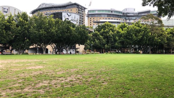 Pyrmont Bay Park (26/10/2018 - Credits: Shannon Wheeler)