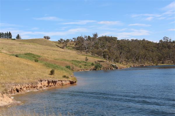 Lake Lyell (16/01/2018)
