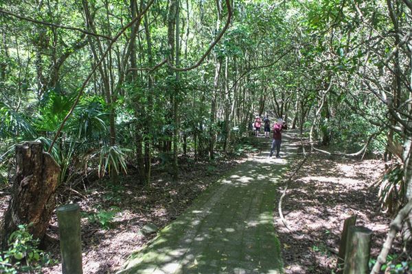 Minnamurra Rainforest Walk - Budderoo National Park (30/10/2018)