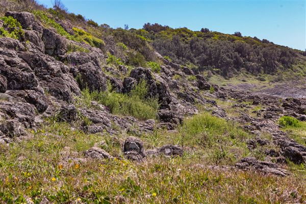 Mystics Beach (Minnamurra Beach) - Killalea State Park (30/10/2018)