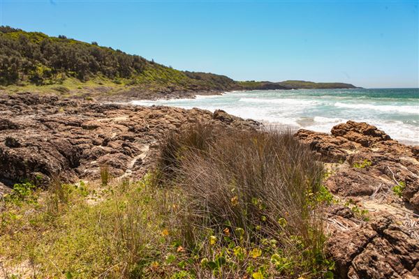 Mystics Beach (Minnamurra Beach) - Killalea State Park (30/10/2018)