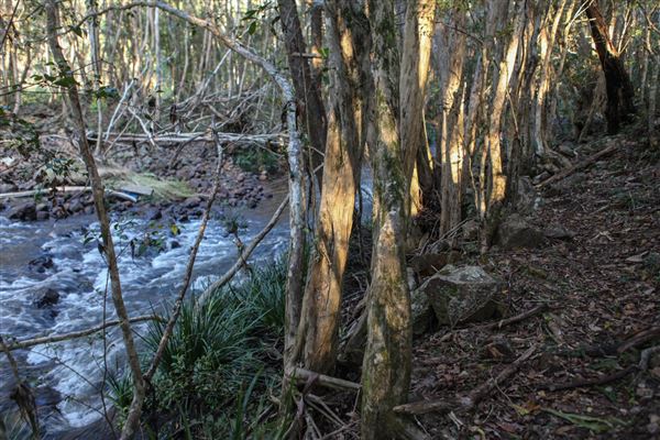 Clarrie Hall Dam (1/11/2018)