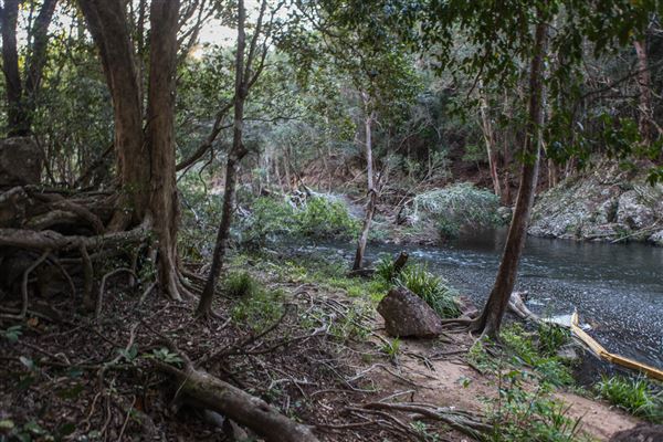 Clarrie Hall Dam (1/11/2018)