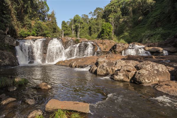 Whian Whian Falls (1/11/2018)