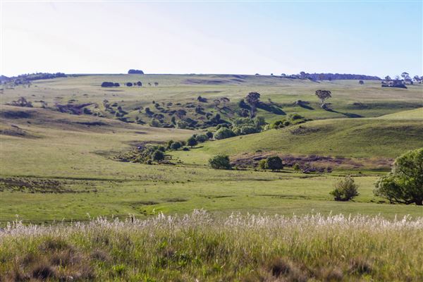 Taralga countryside (31/10/2018)