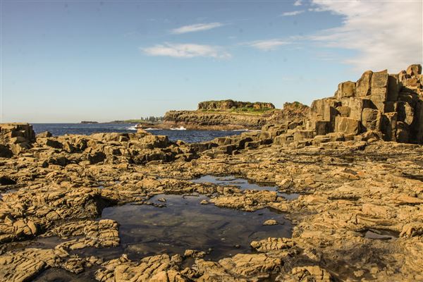 Bombo Headland Quarry (30/10/2018 - Credits: Chris Reynolds)