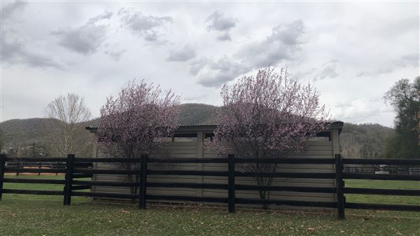 East Tamworth (17/09/2018 - Credits: Shannon Wheeler)