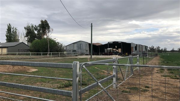 East Tamworth (17/09/2018 - Credits: Shannon Wheeler)