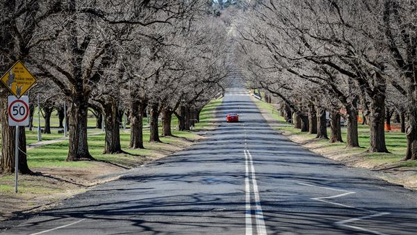 Armidale (20/09/2018 - Credits: Colin McDougall)