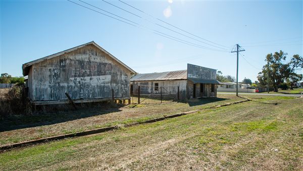 Curlewis (21/09/2018 - Credits: Colin McDougall)