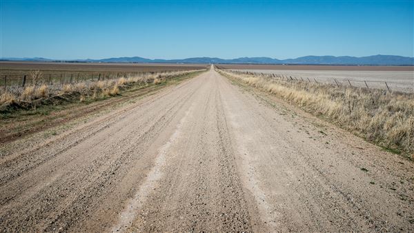 Curlewis (21/09/2018 - Credits: Colin McDougall)