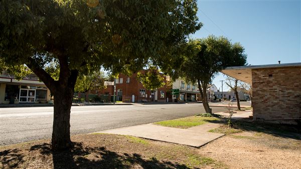 Quirindi (16/09/2018 - Credits: Colin McDougall)