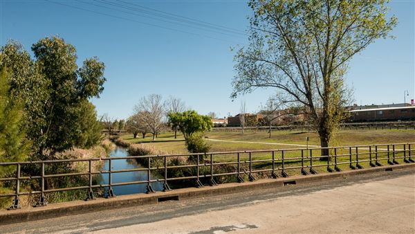 Quirindi (16/09/2018 - Credits: Colin McDougall)