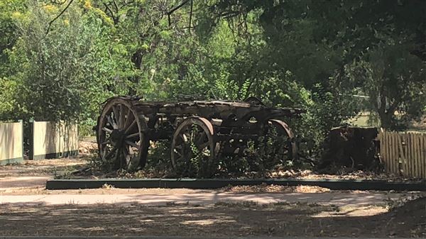 Howlong (8/01/2019 - Credits: Shannon Wheeler)