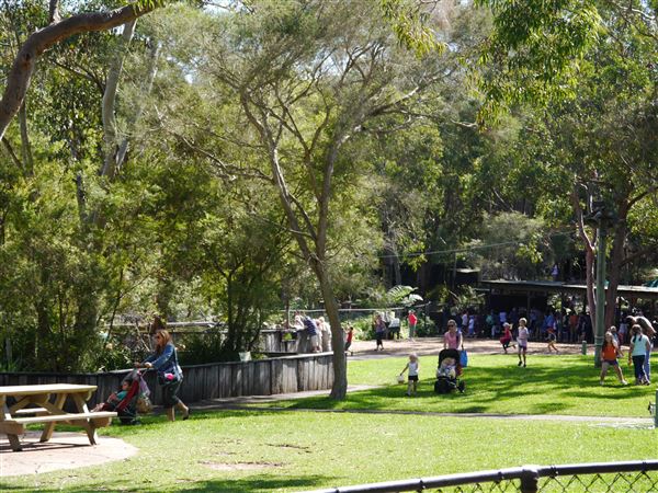 The Australian Reptile Park (25/02/2019 - Credits: Australian Reptile Park)