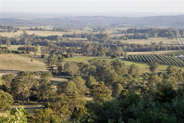 The Australian Botanic Garden Mount Annan - Landscapes with the Australian Botanic Garden (11/02/2019)