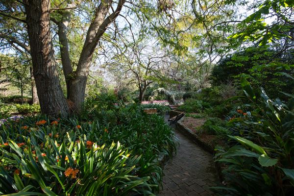 Camelia Gardens (16/07/2019)