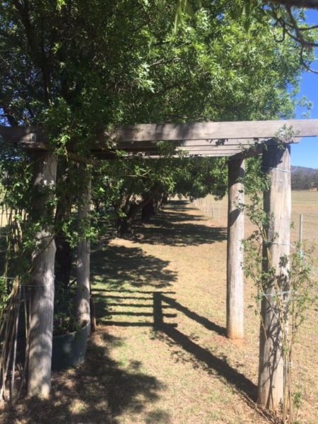 Yurali House (24/10/2019 - Credits: Amy Goble)