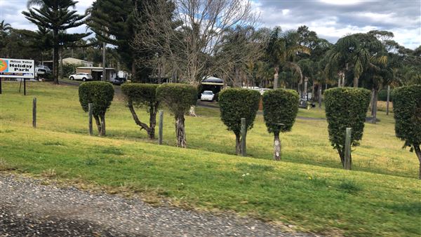 Milton Houses (28/07/2019 - Credits: Shannon Wheeler)