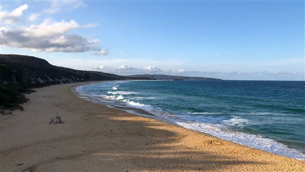 Tura Beach (26/09/2019 - Credits: Shannon Wheeler)