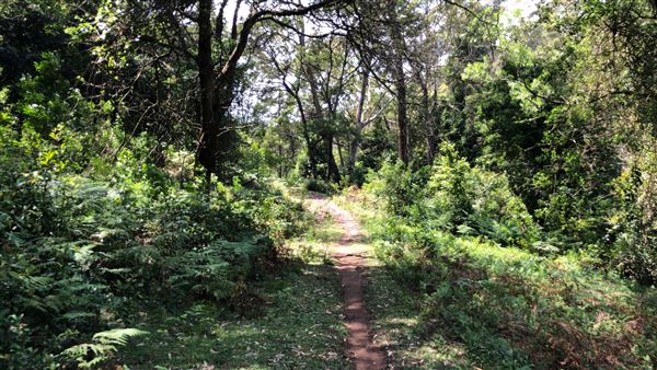 Otford Farm - Paintball Property (19/11/2019 - Credits: Screen NSW)