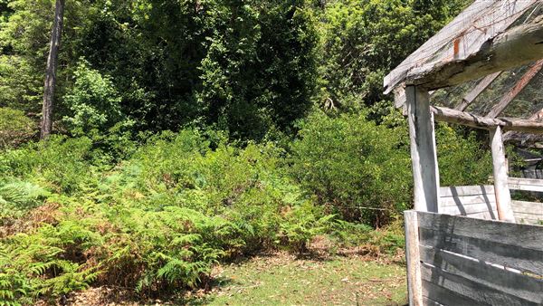 Otford Farm - Paintball Property (19/11/2019 - Credits: Screen NSW)