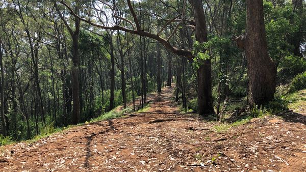 Otford Farm - Paintball Property (19/11/2019 - Credits: Screen NSW)