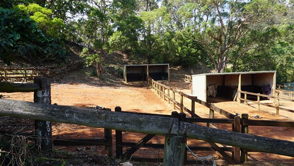 Otford Farm - Horse Farm (19/11/2019 - Credits: Screen NSW)