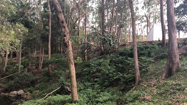 Otford Farm - Horse Farm (19/11/2019 - Credits: Screen NSW)
