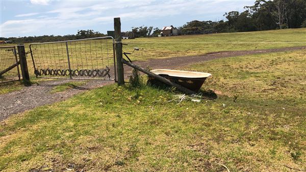 Otford Farm - Crazy T Farm (19/11/2019 - Credits: Screen NSW)