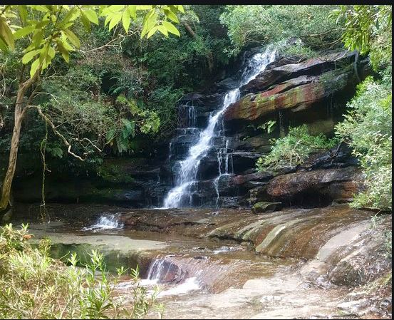 Somersby Falls picnic area - Brisbane Water National Park (6/05/2017 - Credits: NSW Tourism)