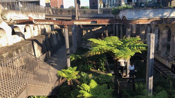 Paddington Reservoir Gardens (30/05/2020 - Credits: Shannon Wheeler)