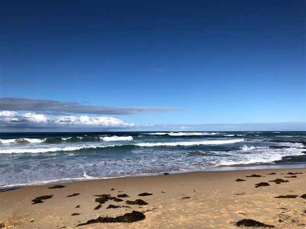 Berrara Beaches (7/07/2020 - Credits: Shannon Wheeler)