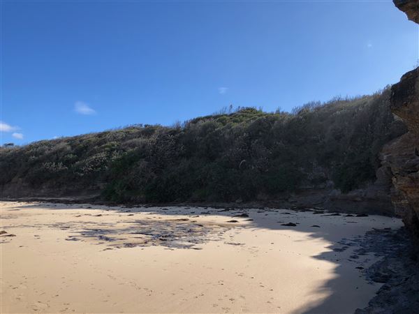 Berrara Beaches (7/07/2020 - Credits: Shannon Wheeler)