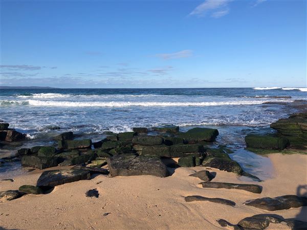 Berrara Beaches (7/07/2020 - Credits: Shannon Wheeler)
