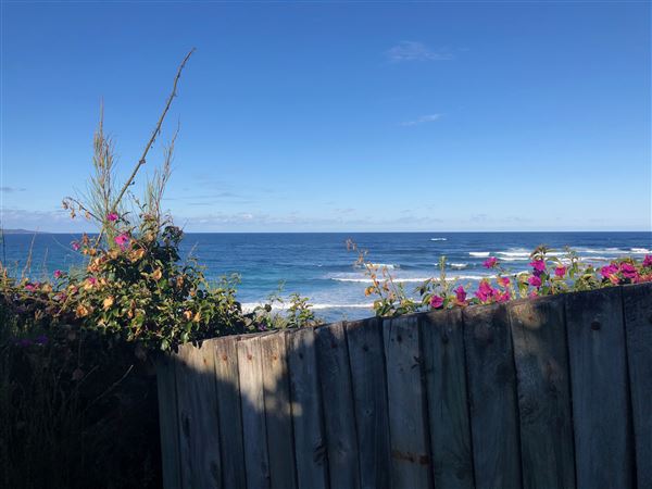 Berrara Beaches (7/07/2020 - Credits: Shannon Wheeler)