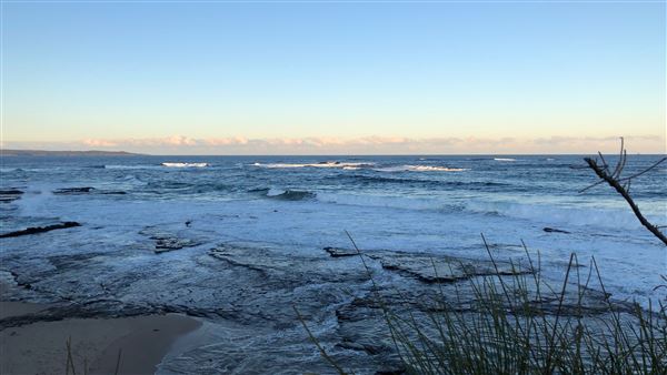 Berrara Beaches (7/07/2020 - Credits: Shannon Wheeler)