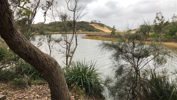 Swan Lake Inlet - Cudmirrah Beach (8/07/2020 - Credits: Shannon Wheeler)
