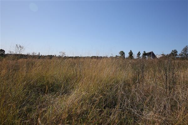 Bungarribee Park  - Western Sydney Parklands (16/06/2020 - Credits: Lisa Scope)
