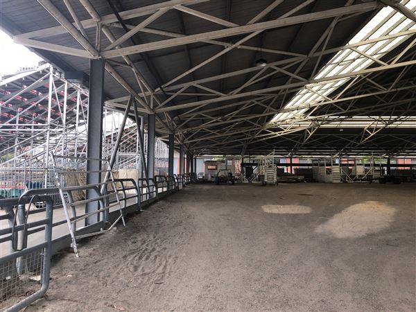 Sydney Showground - Horse Marshaling Arena (27/10/2020 - Credits: Shannon Wheeler)