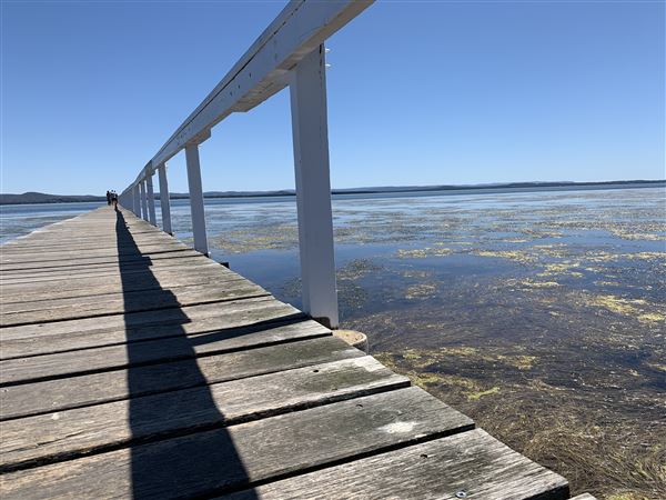 Watkins Jetty Long Jetty (10/10/2020 - Credits: Screen NSW Mechele Axford)