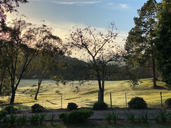 Berry Hill (4/01/2021)