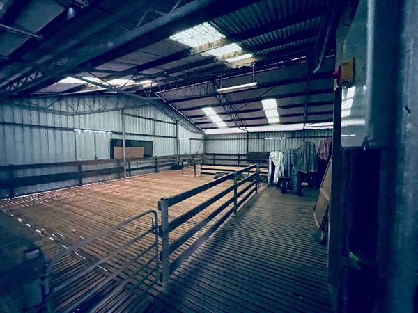 Tobruk Sheep Station - Shearing Shed & Event Venue - These photos were taken at the end of summer however, it was an unusually overcast yet bright day. (23/02/2021 - Credits: Cheryl Conway)