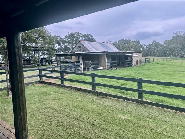 Tobruk Sheep Station - Cottages & surrounds - Summer but usually overcast & glarey. (23/02/2021 - Credits: Cheryl Conway)
