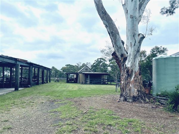 Tobruk Sheep Station - Cottages & surrounds - Summer but usually overcast & glarey. (23/02/2021 - Credits: Cheryl Conway)
